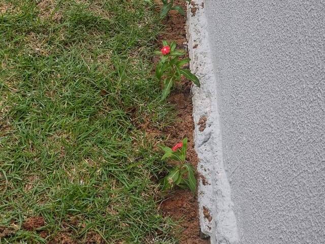 Casa para Venda em Cuiabá - 2