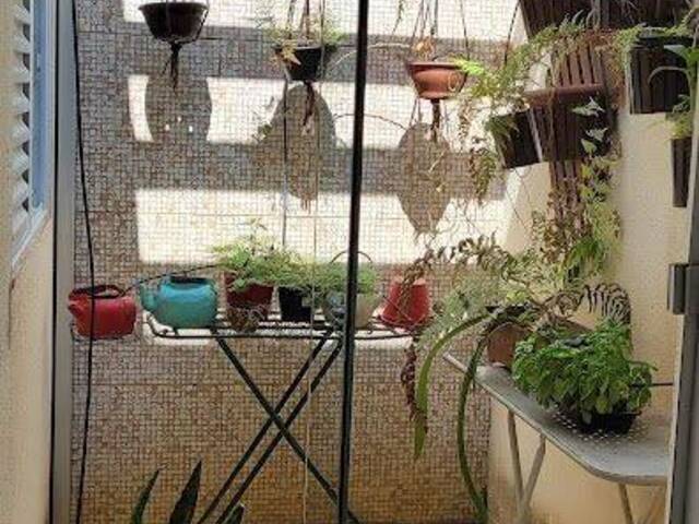 Casa para Venda em Cuiabá - 3