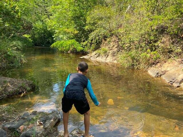 #3036 - Chácara para Venda em Chapada dos Guimarães - MT - 1